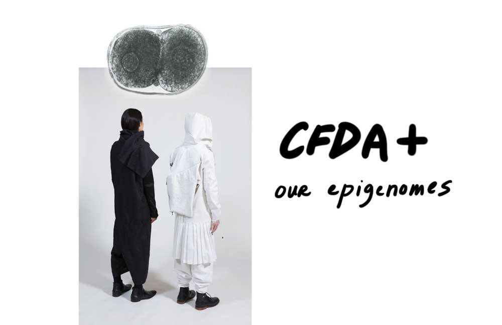 CFDA_processpg_1_cover